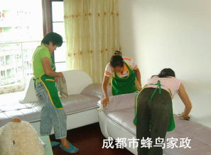 雙流保潔公司 專業(yè)清洗油煙機(jī)，守護(hù)廚房健康環(huán)境